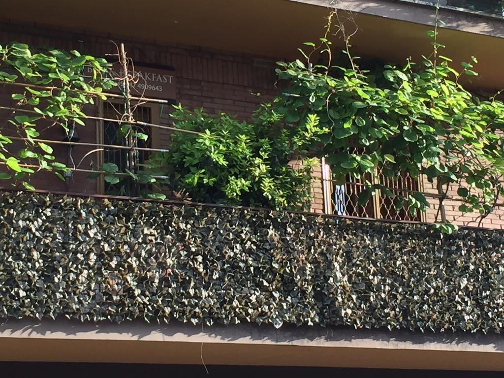 ローマ La Fontana Di Carlotta Bed & Breakfast エクステリア 写真