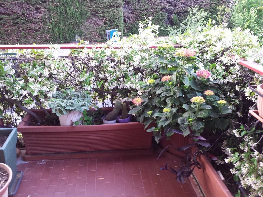 ローマ La Fontana Di Carlotta Bed & Breakfast エクステリア 写真